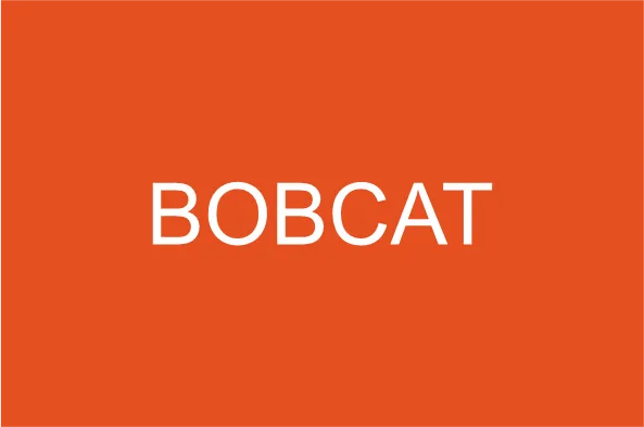 Bobcat
