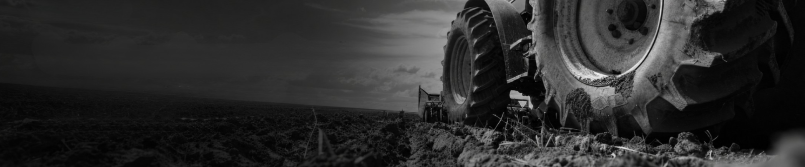 Agco Tractor Parts Supplier in Merida