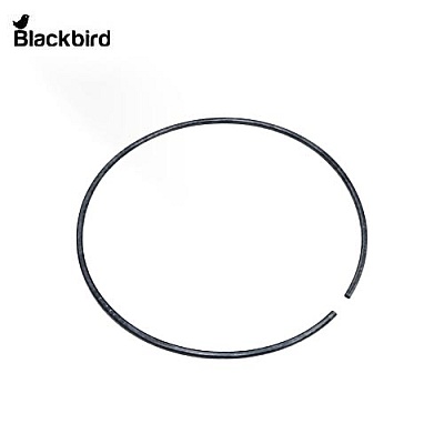 Annulus Ring  125344