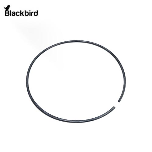 Annulus Ring  125344