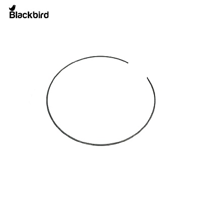 Annulus Ring Lock 125233
