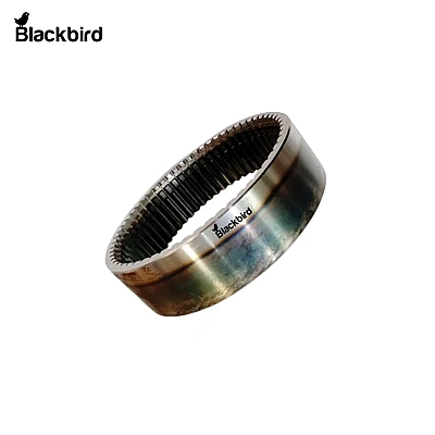 Annulus Ring 10081584AA