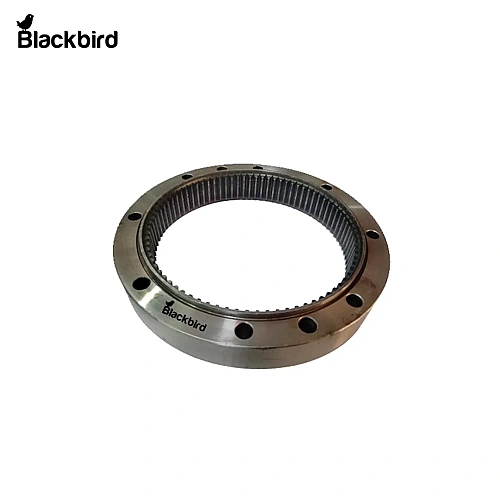 Annulus Ring D10064800