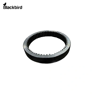 Annulus Ring 47362014