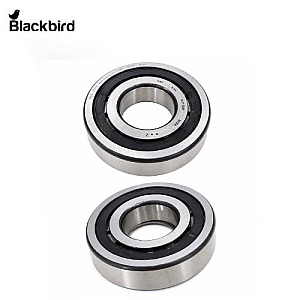 Bearing Assembly 5138660