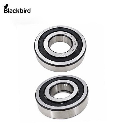 Bearing Assembly 5138660