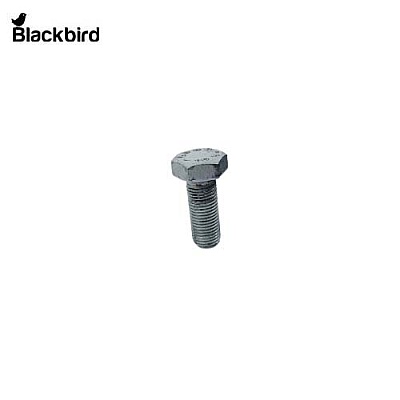 Bolt 15540431