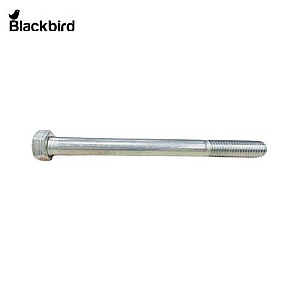 Bolt 19M8019