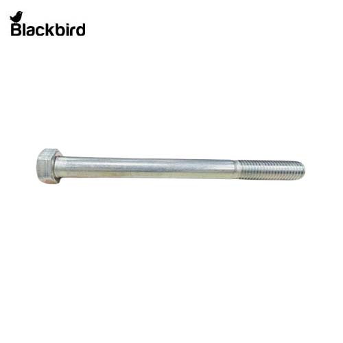 Bolt 19M8019