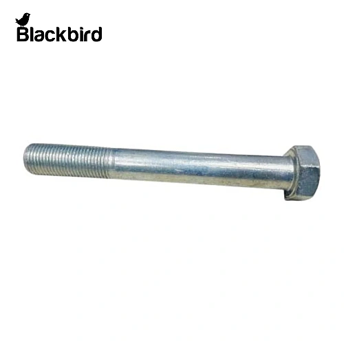 Bolt 15981924