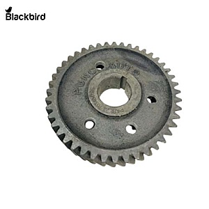 Cam Gear 703404119EFG
