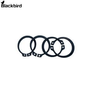 Circlip 24789