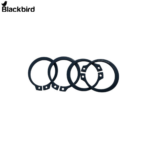 Circlip 24789