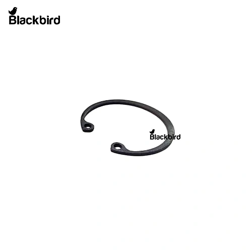 Circlip 16872473