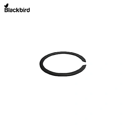 Circlip (R138330)