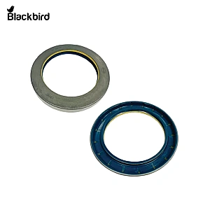 Combi Oil Seal 5123259