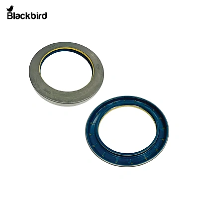 Combi Oil Seal 5123259
