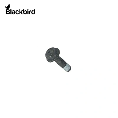 Crankshaft Bolt 4779121