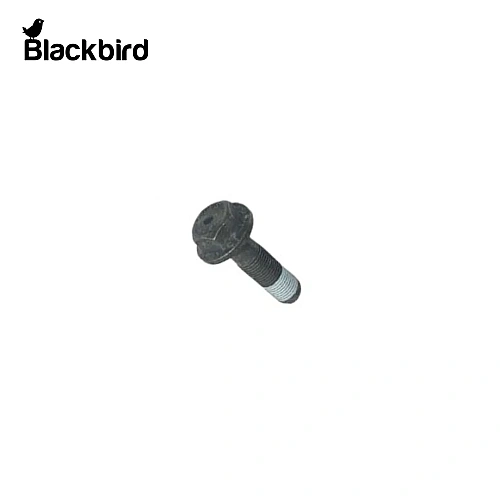 Crankshaft Bolt 4779121