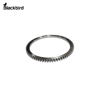 Crankshaft Gear 2040000000