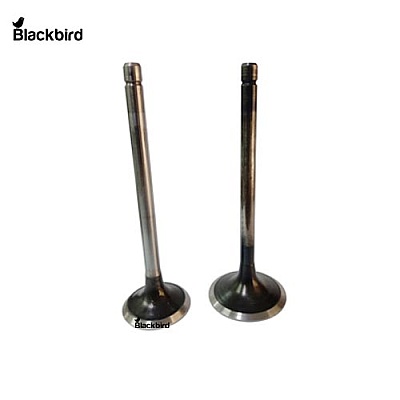 Engine Valve Inlet 504097327