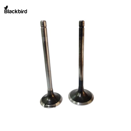 Engine Valve Inlet 504097327