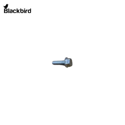 Flange Bolt 9804256