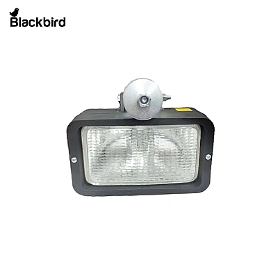 Flood Lamp (SJ19135)