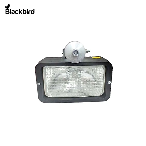 Flood Lamp (SJ19135)