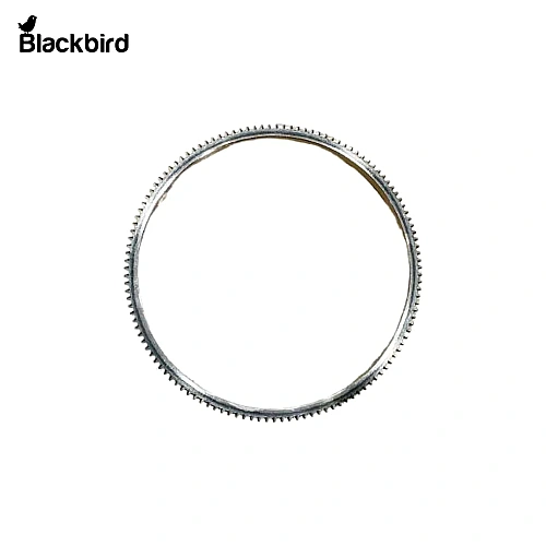 Fly Wheel 210131