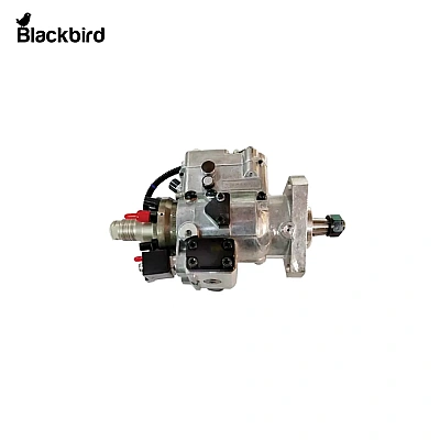 Fuel Injaction Pump Assembly RE527148