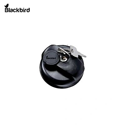 Fuel Cap 47829787