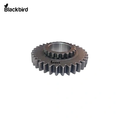 Gear CA138969