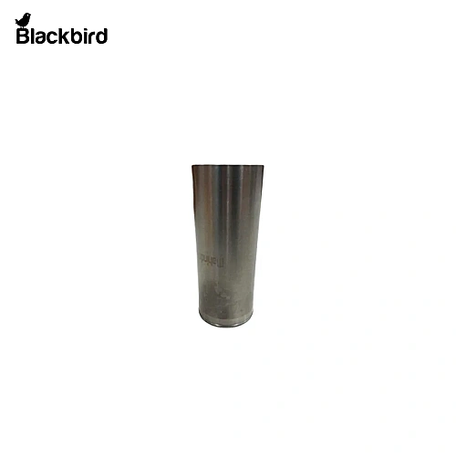 Hydraulic Cylinder 005554399R1