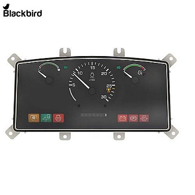 Instrument Cluster RE253985