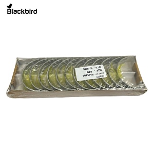 Main Bearing  R515304