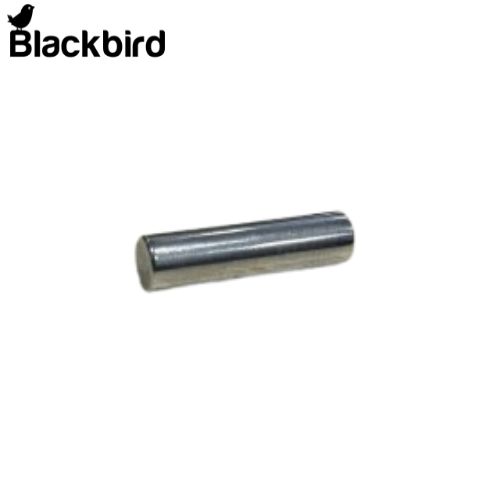 Needle Roller  6193414M1