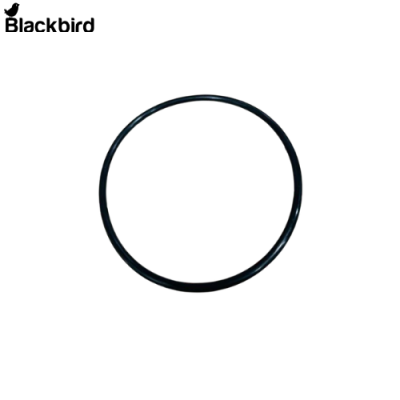 O- Ring 28170