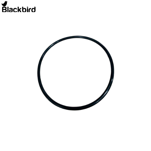 O- Ring 28170