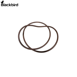 O Ring 415099