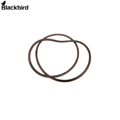 O Ring 415099