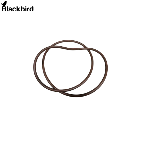 O Ring 415099