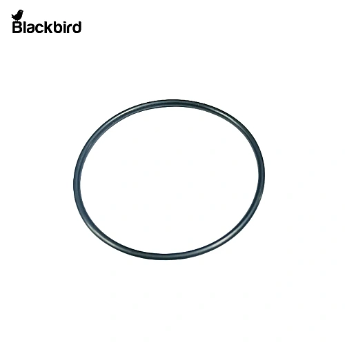 O-Ring 87421144