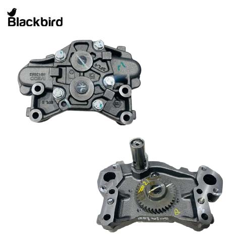 Oil Pump Assembly 5802128486, 4813653