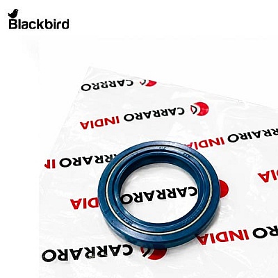 Oil Seal 25131