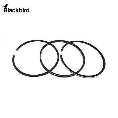 Piston Ring 82825854