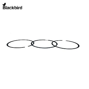 Piston Ring Assembly  S4099107