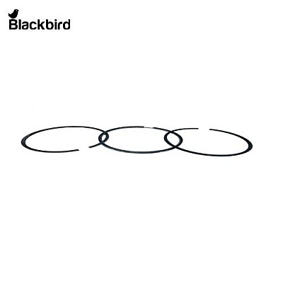Piston Ring Assembly  S4099107