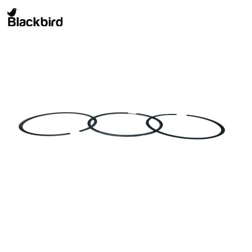 Piston Ring Assembly  S4099107