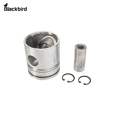 Piston Assembly 3905406M91